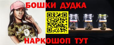 мдпв Дубна