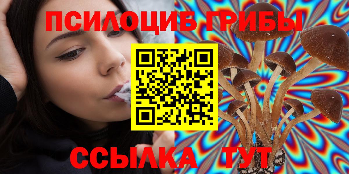 Псилоцибиновые грибы GOLDEN TEACHER Мариинск